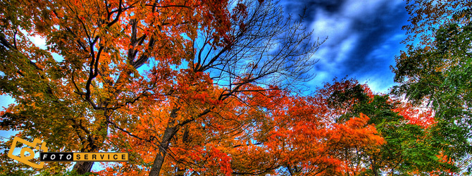 L’autunno in 23 bellissime foto!